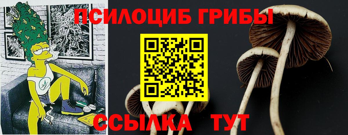 Галлюциногенные грибы мухоморы Новосибирск