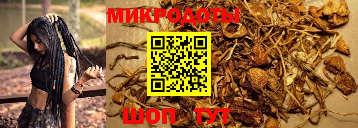Псилоцибиновые грибы мухоморы  наркошоп  Новосибирск  Вход с VPN 